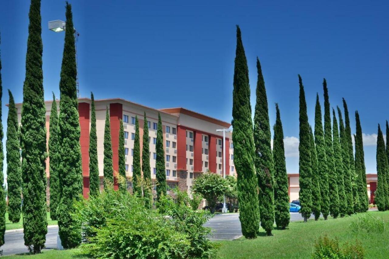 Lux Hotel & Spa, Trademark Collection By Wyndham Arlington Luaran gambar